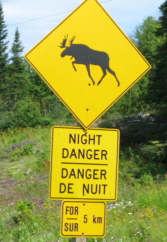 Moose Danger Sign